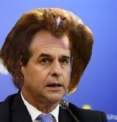 Gilbenn🃏 tweet media