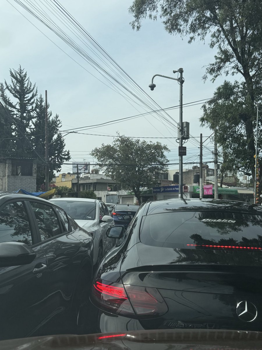 Sara Y Munoz tweet media