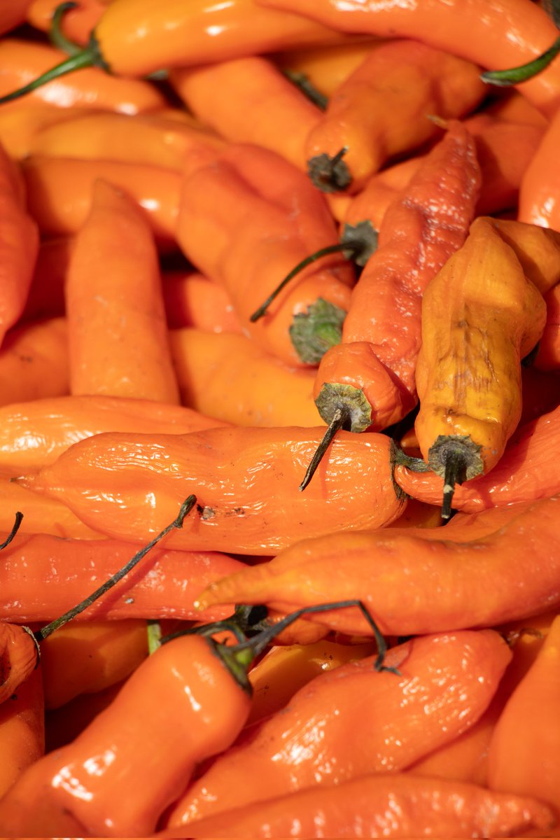 📷 Pablo Araya | Viajes, Fotografía y Culturas tweet media