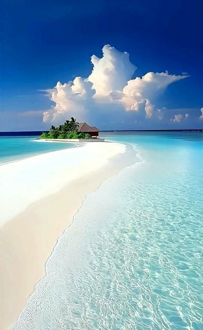 SharletSob71491's tweet image. #FridayMood
#FridayMotivation 
#FridayFunny