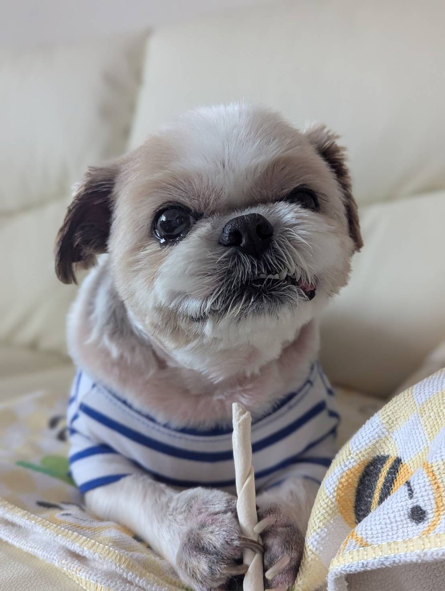 たんち朗 tweet media