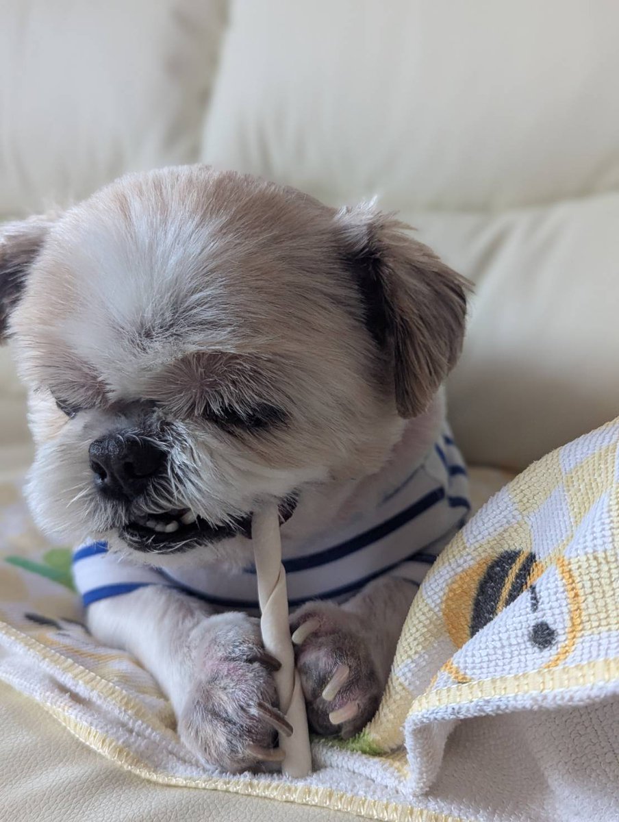 たんち朗 tweet media