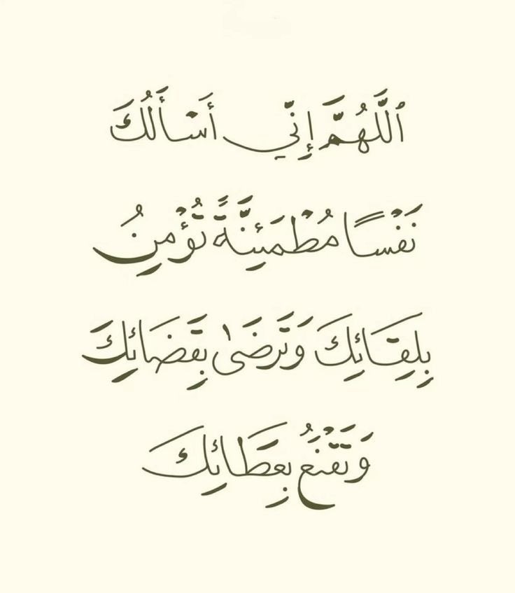 ذكر tweet media