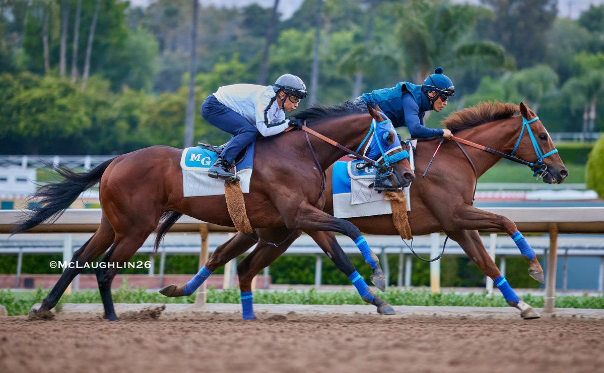 kimo16's tweet image. So Happy under HoFamer Mike Smith 5F in 59.60 this morning with Watsonville (5 in 59.80) for company on the inside for trainer Mark Glatt @santaanitapark @DerbyMedia @KentuckyDerby @SoSRacingStable @mikeesmith10
