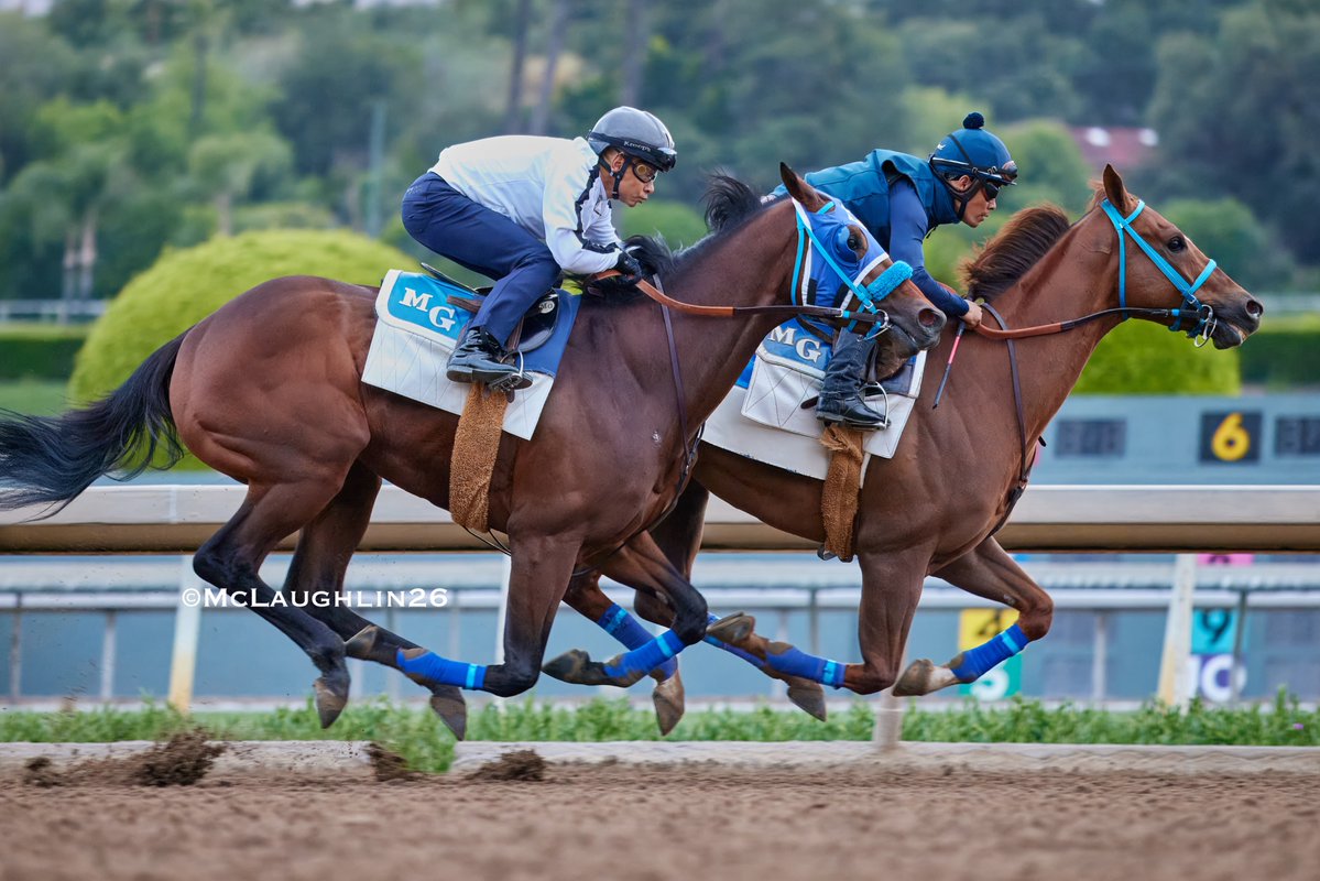 kimo16's tweet image. So Happy under HoFamer Mike Smith 5F in 59.60 this morning with Watsonville (5 in 59.80) for company on the inside for trainer Mark Glatt @santaanitapark @DerbyMedia @KentuckyDerby @SoSRacingStable @mikeesmith10