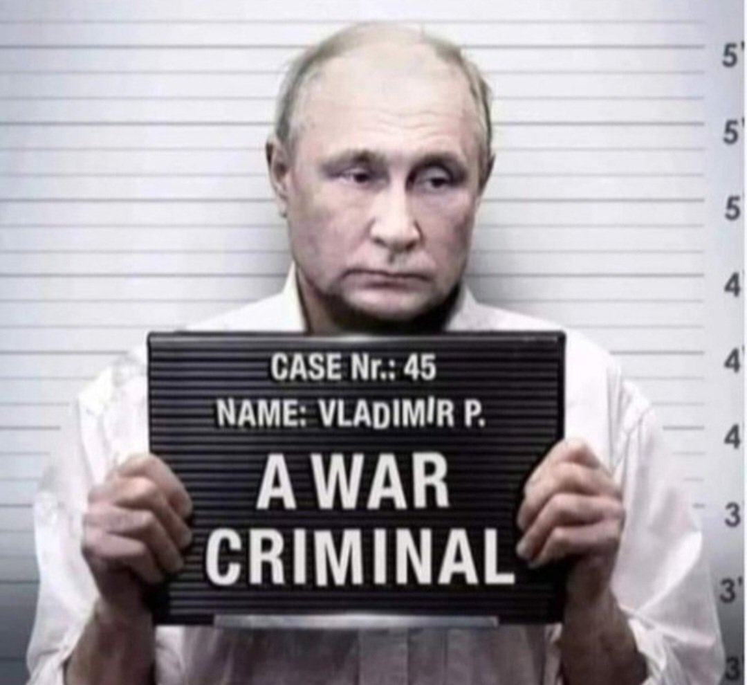 Caique Parrot tweet media