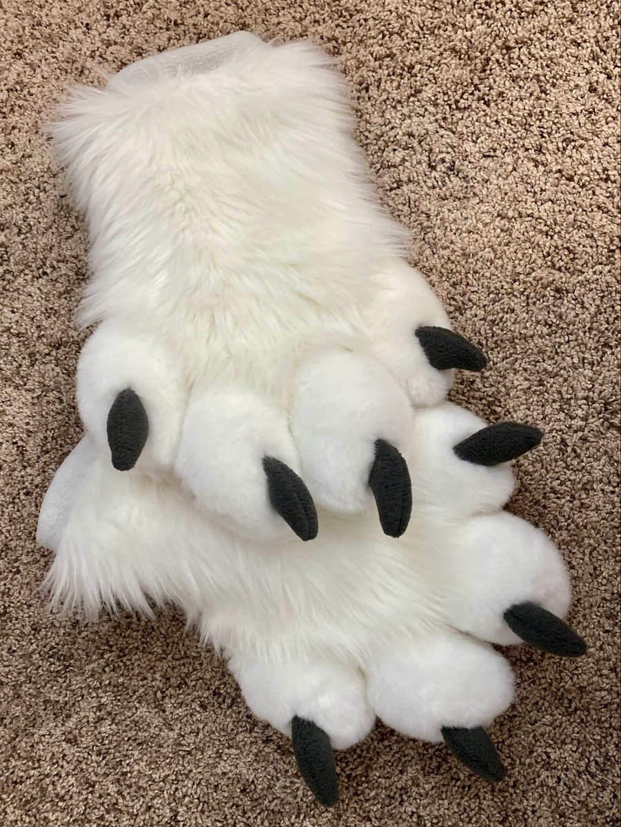 Kilcodo! 🐾💛 tweet media