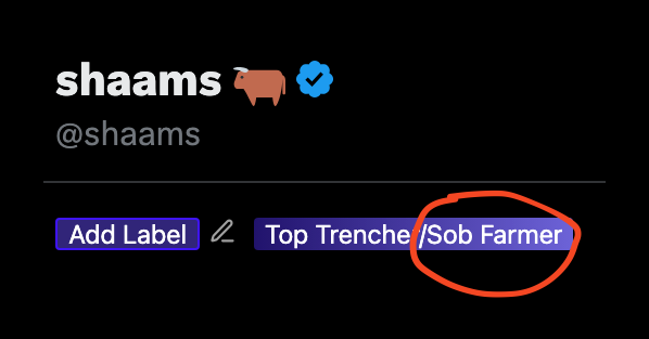 shaams 🐂 tweet media