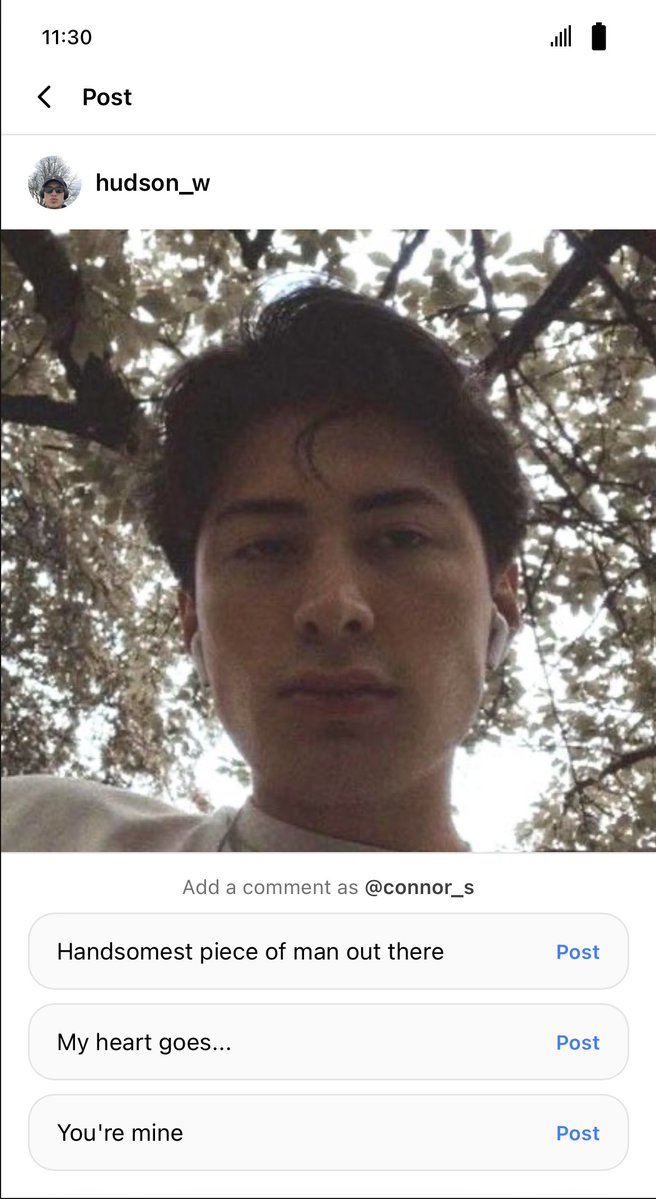 pomelos 🍊 tweet media