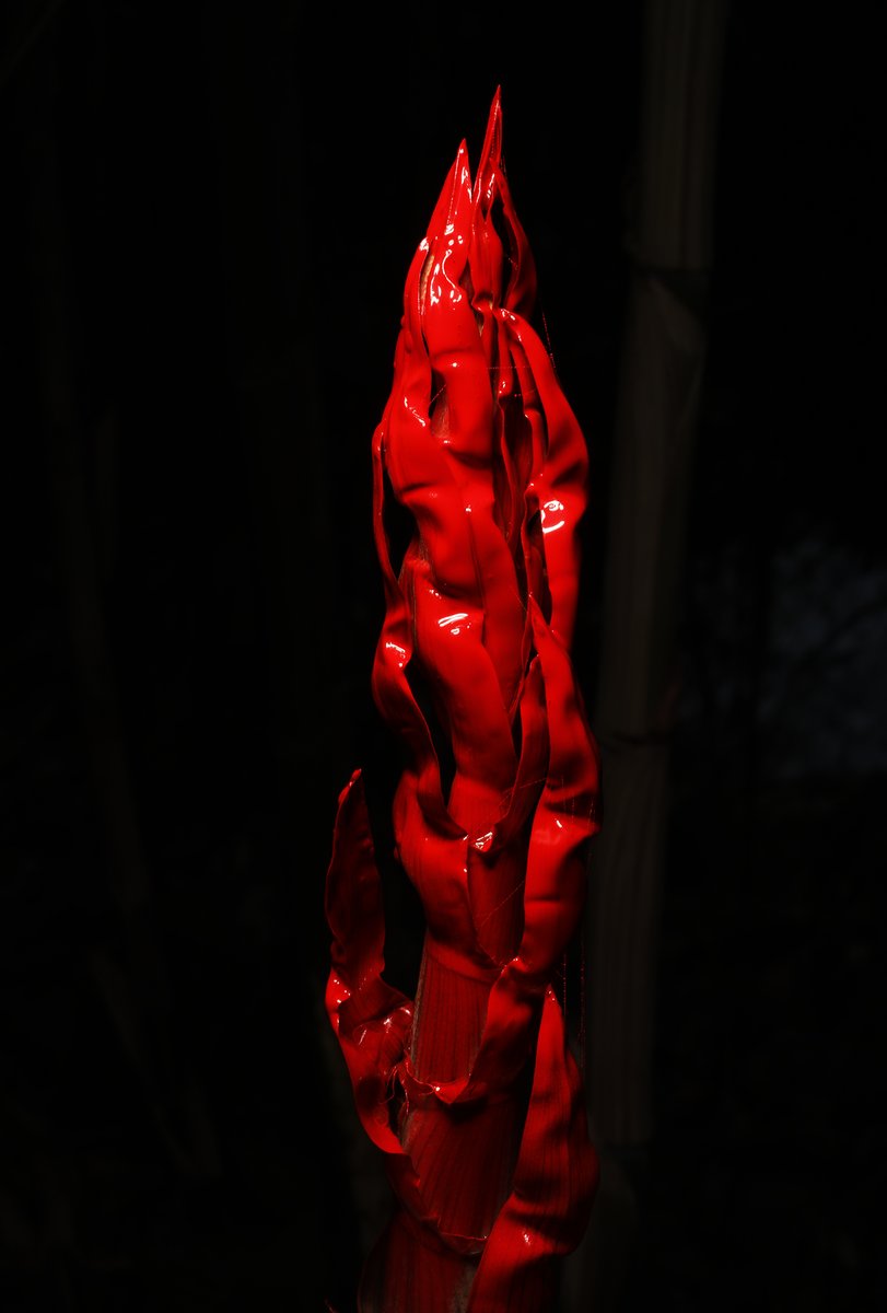 Red Bamboo. Photo this morning by L. Hamill.