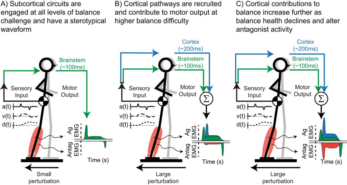 SfN Journals tweet media