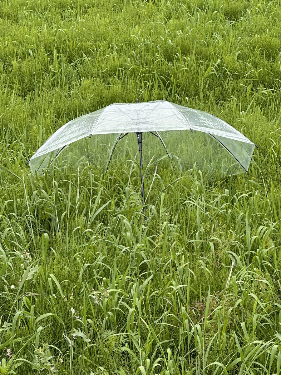 lp500_s's tweet image. 皆さんおはようございます😃
#iPhone14Pro