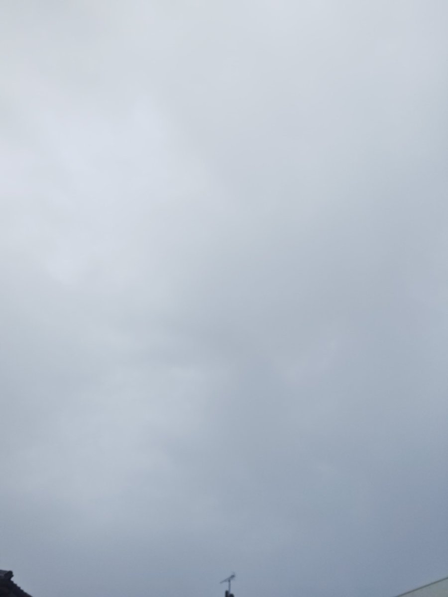 ryou1115 tweet media