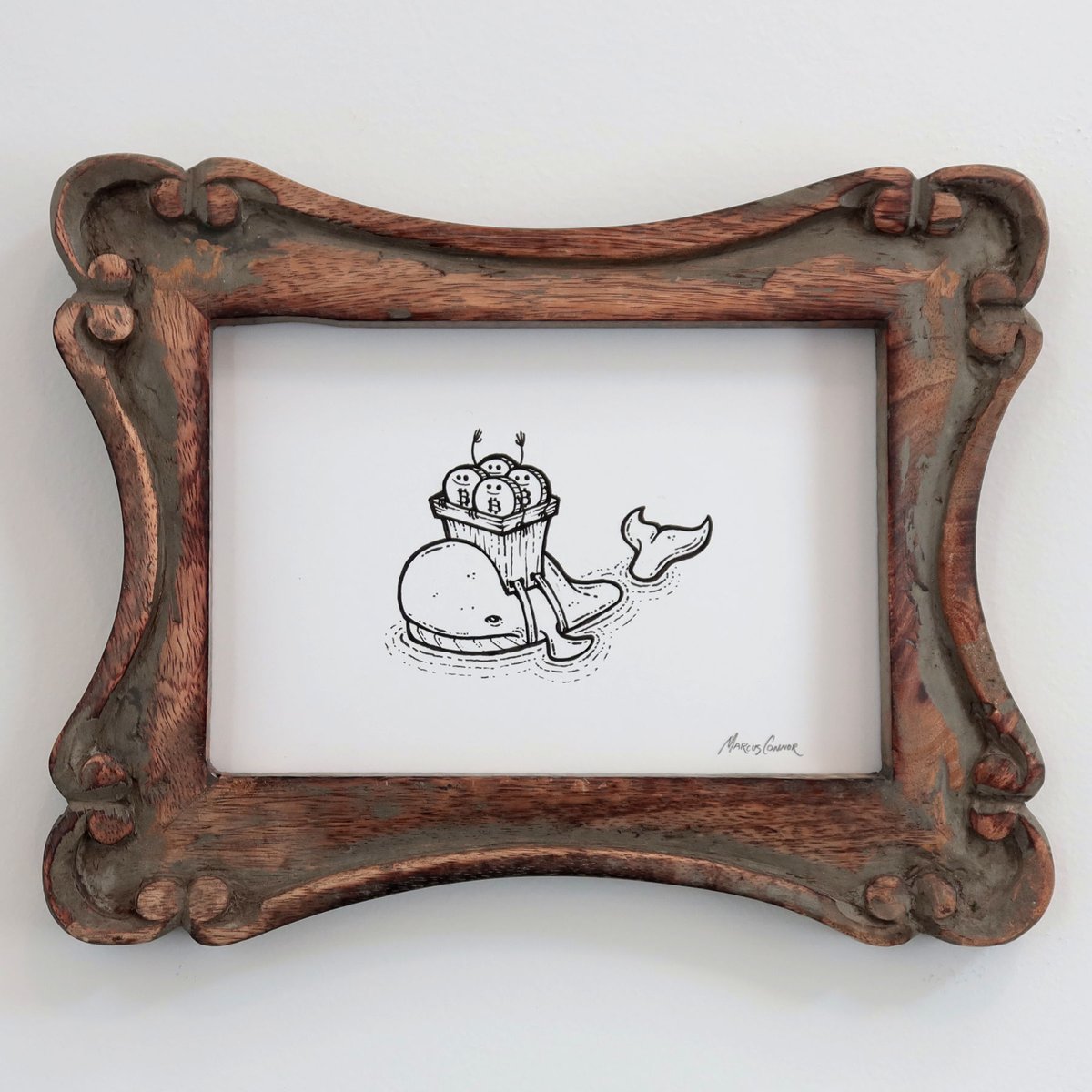 Marcus Connor tweet media