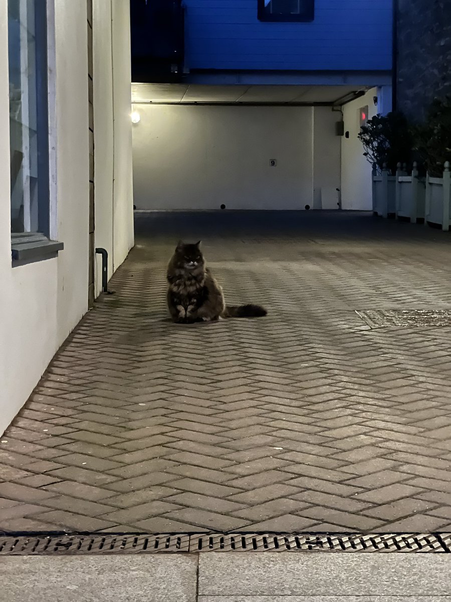 Cornish_Weather's tweet image. Friday evening in Porthleven.  11°c #Cornwall #travel #weather