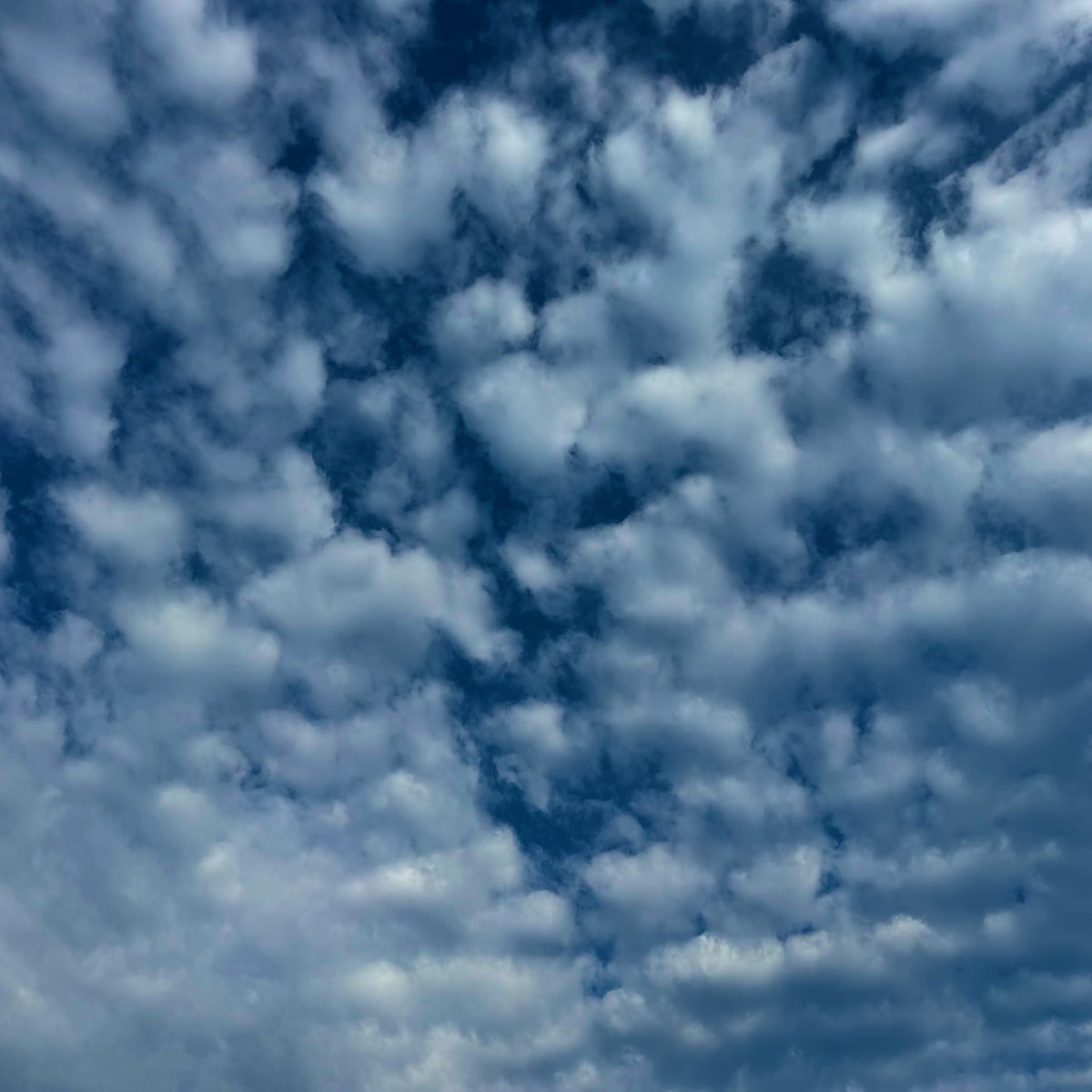 imagine works tweet media