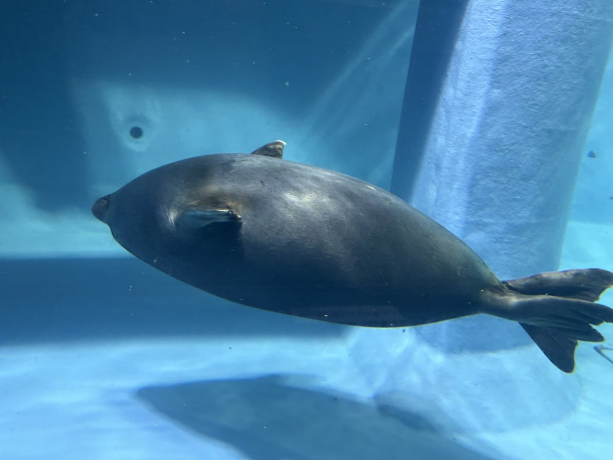 久保田AKKUN(坂藤ノ章) tweet media