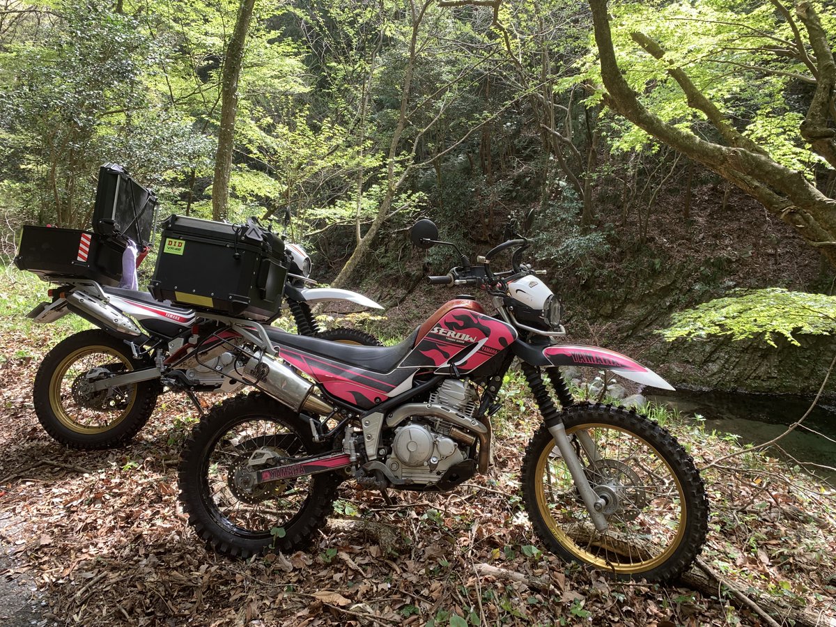 いさ@わいじぃ250えっくす tweet media