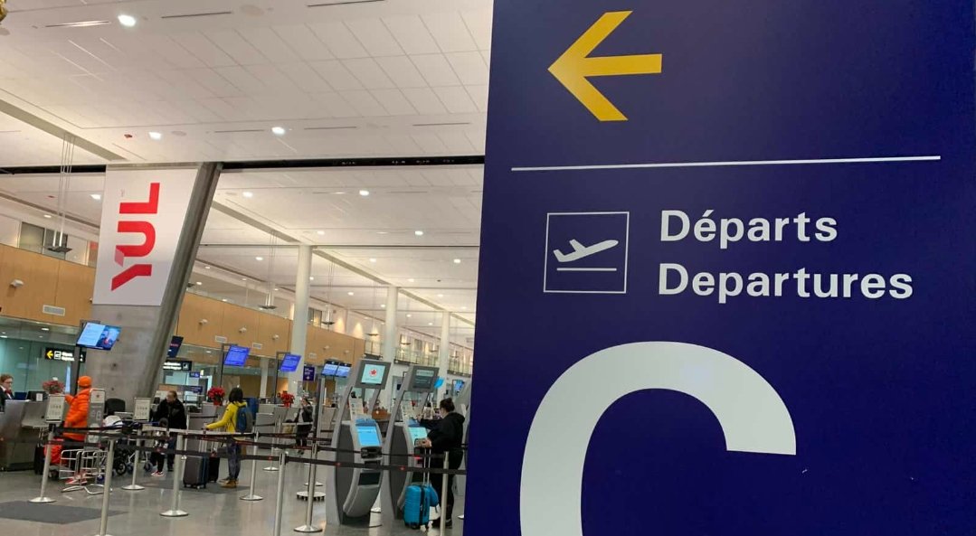 达芬七 tweet media