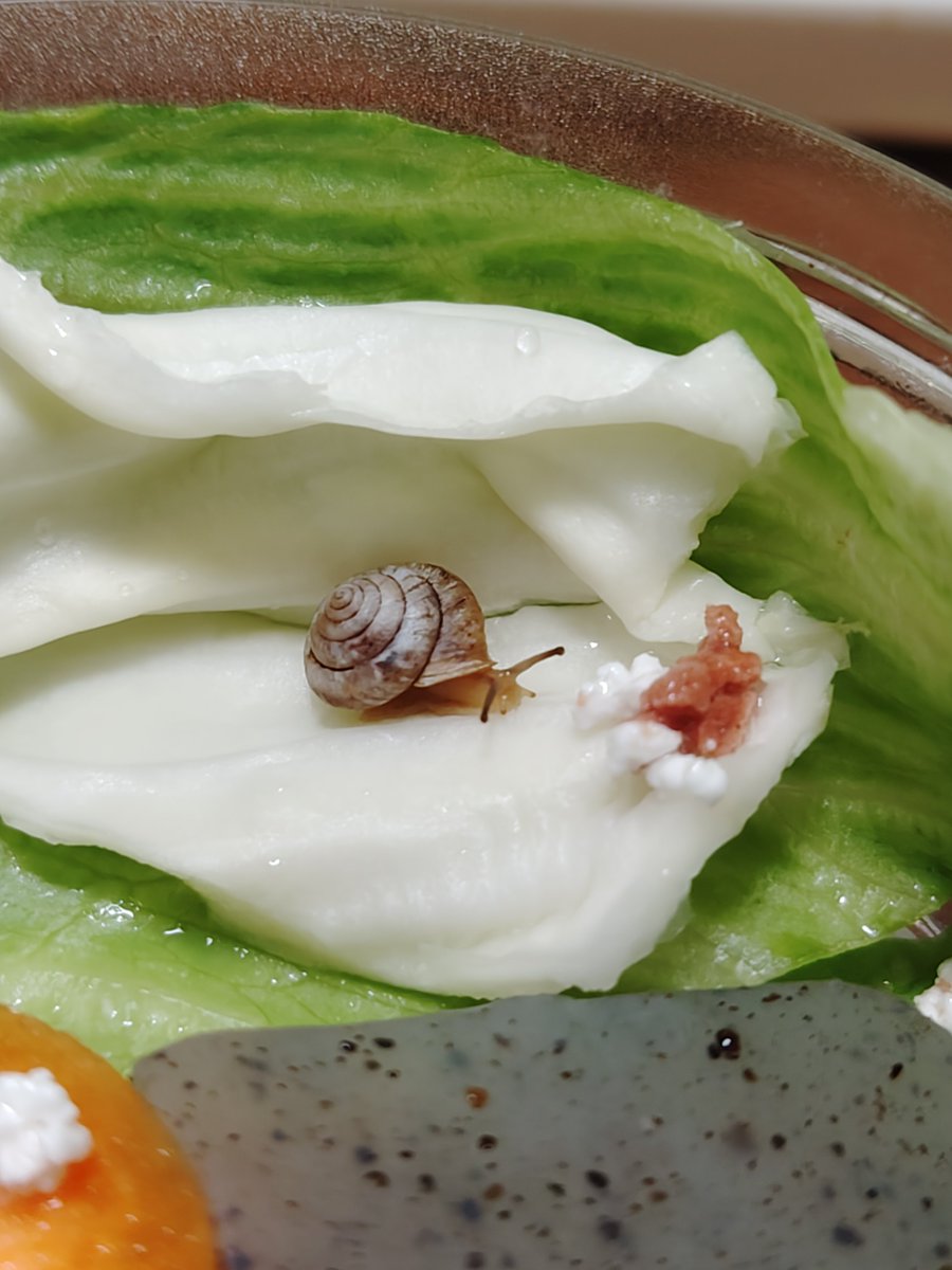 ﾐﾄｽ🐌🌶️赤679緑52 tweet media