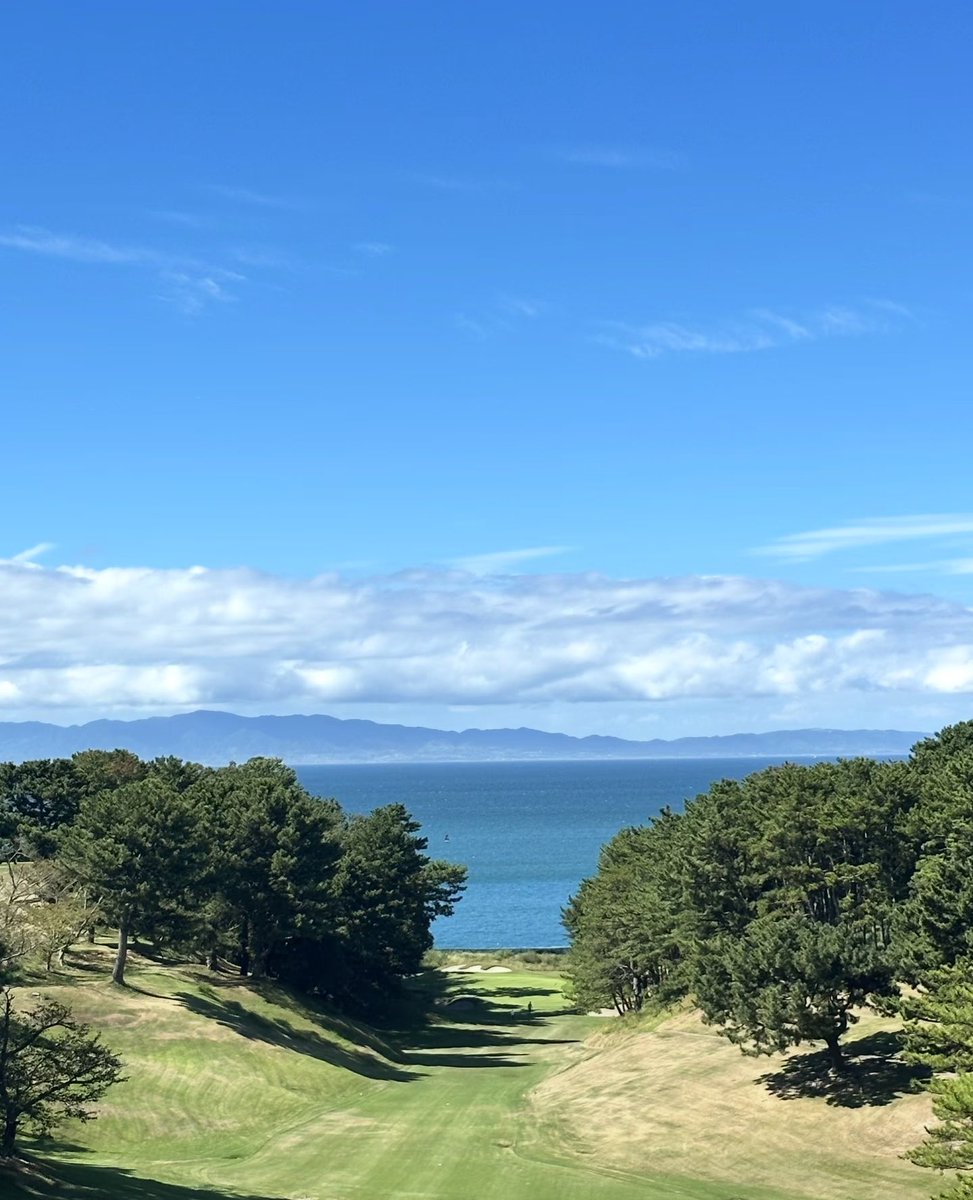 しんじ tweet media