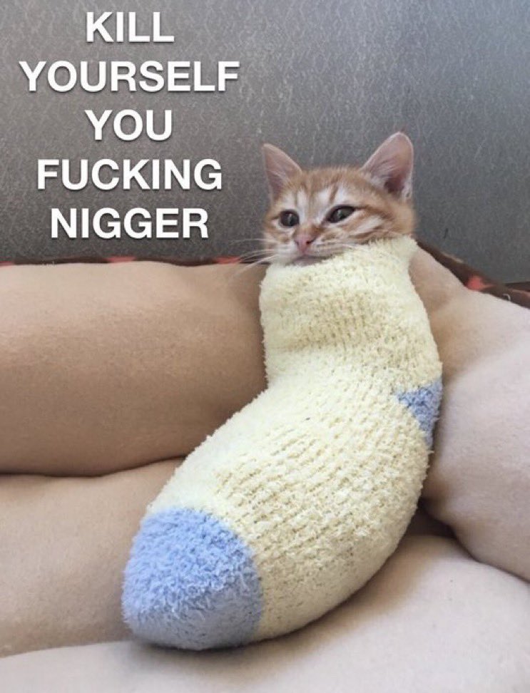 DiscipleCaust tweet media