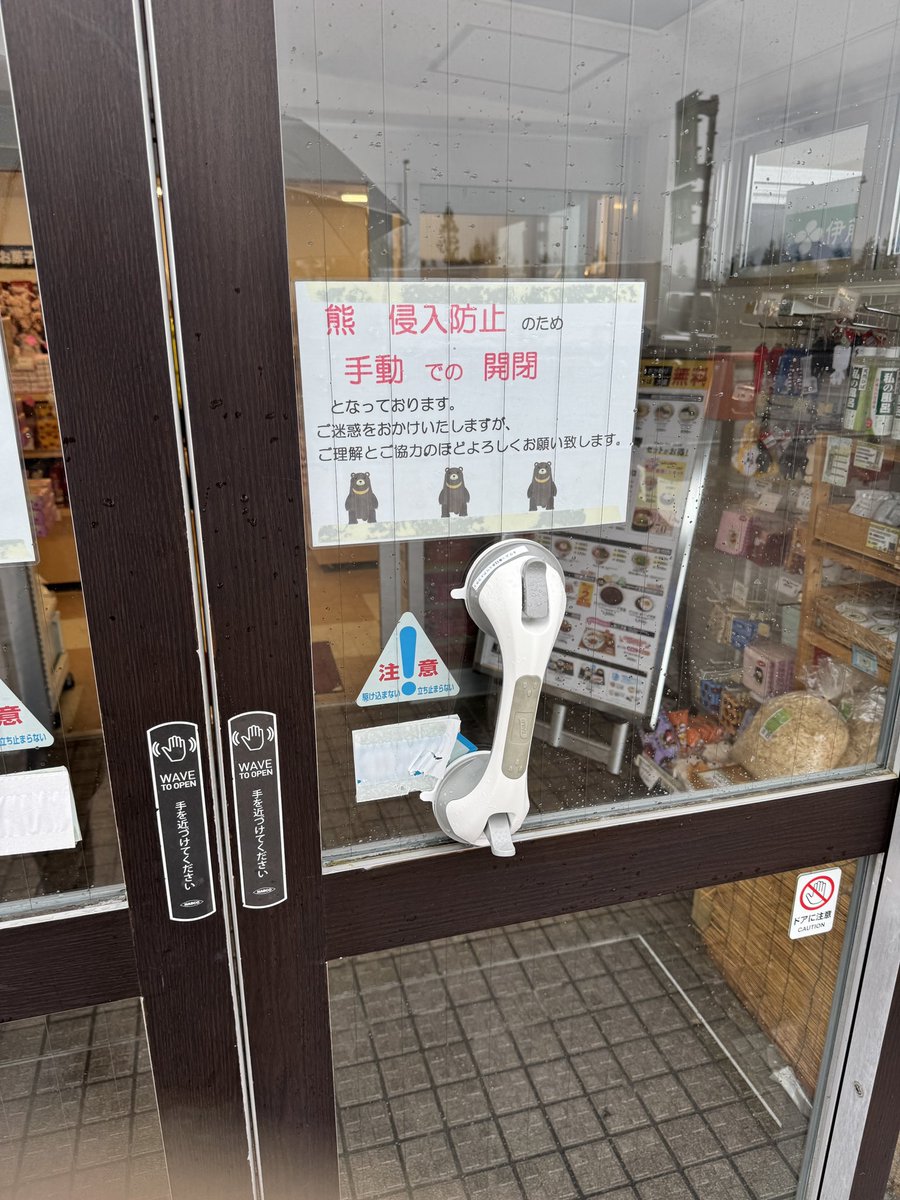 インテリア業界の犬 tweet media