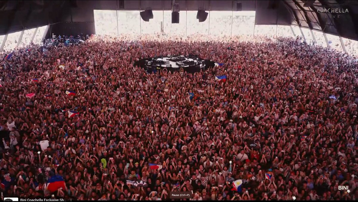 binibloombelgium tweet media