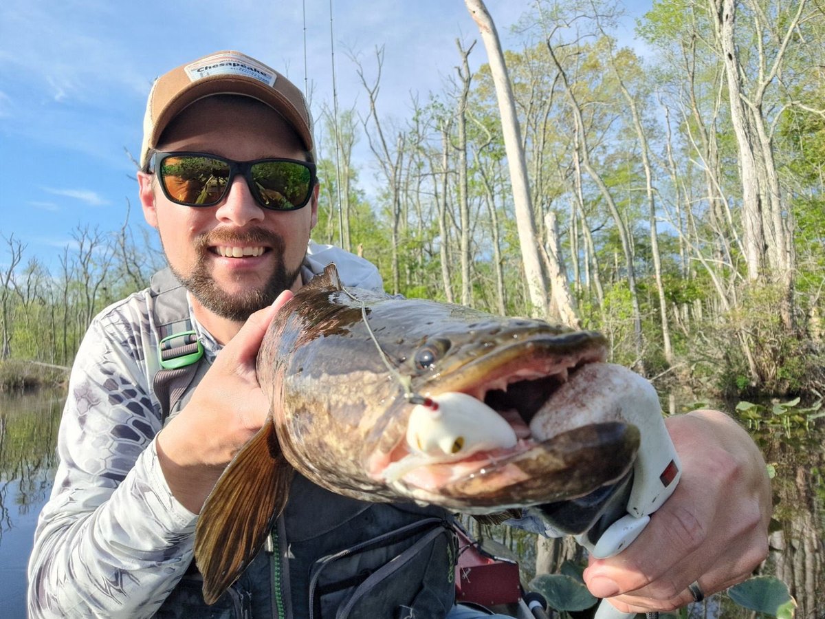 Nishine Lure Works tweet media