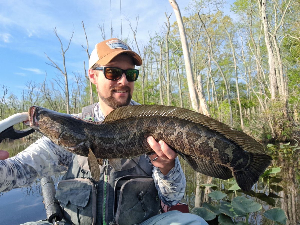 Nishine Lure Works tweet media