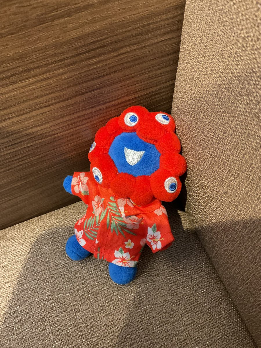 SHIKI🌱 tweet media