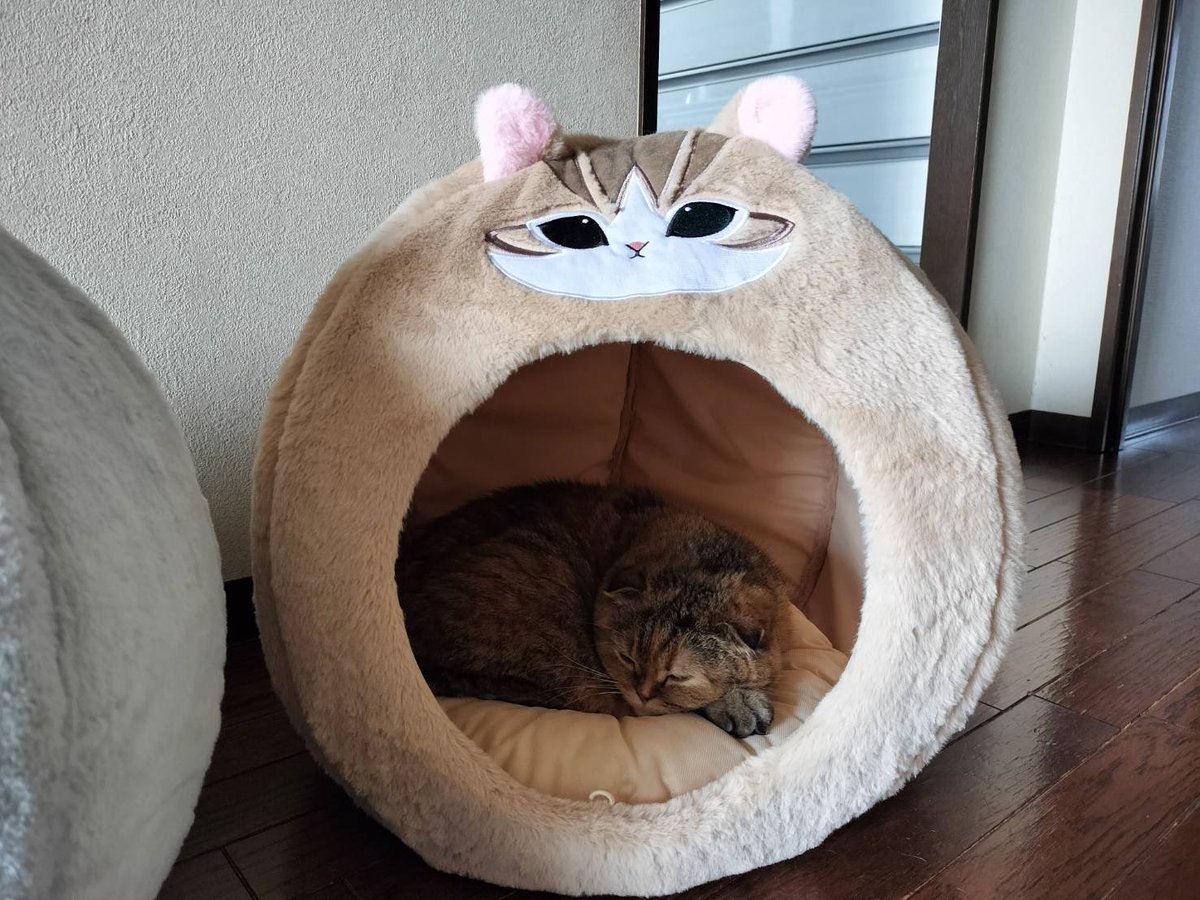 重清もも子 tweet media