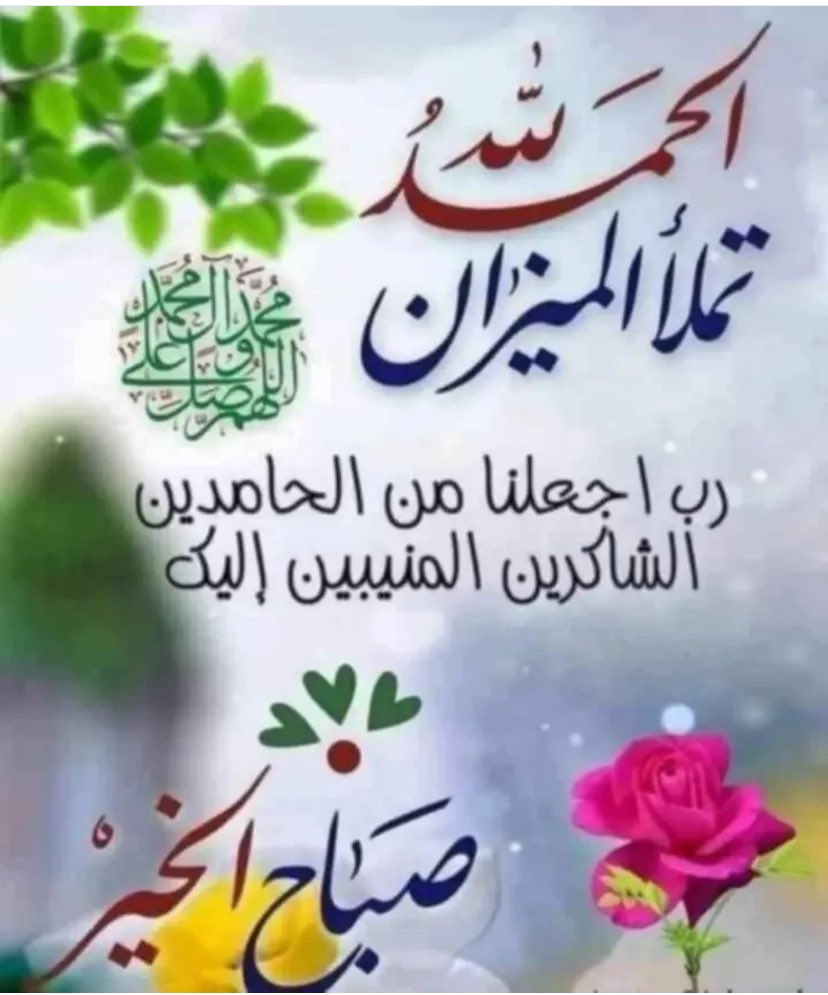 Ali tweet media