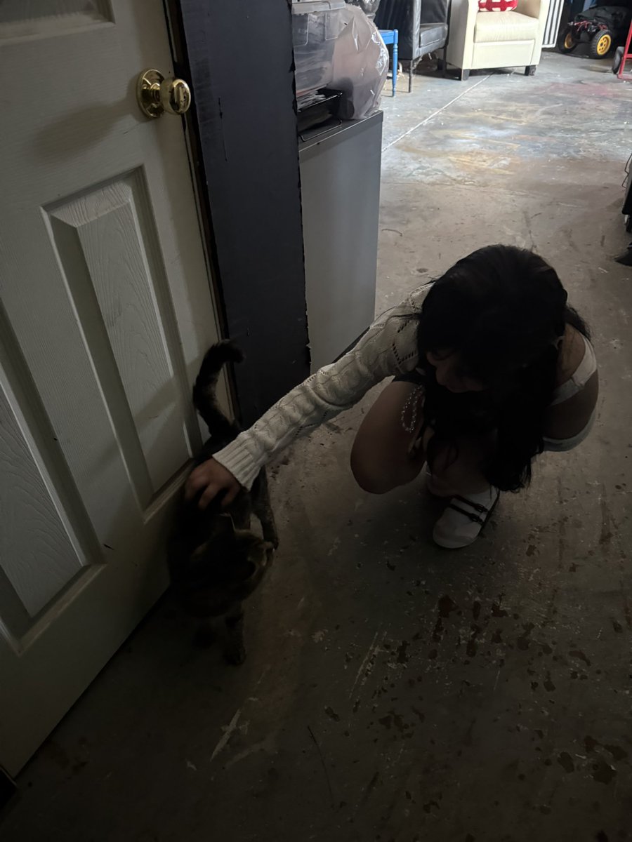 ives ★ tweet media