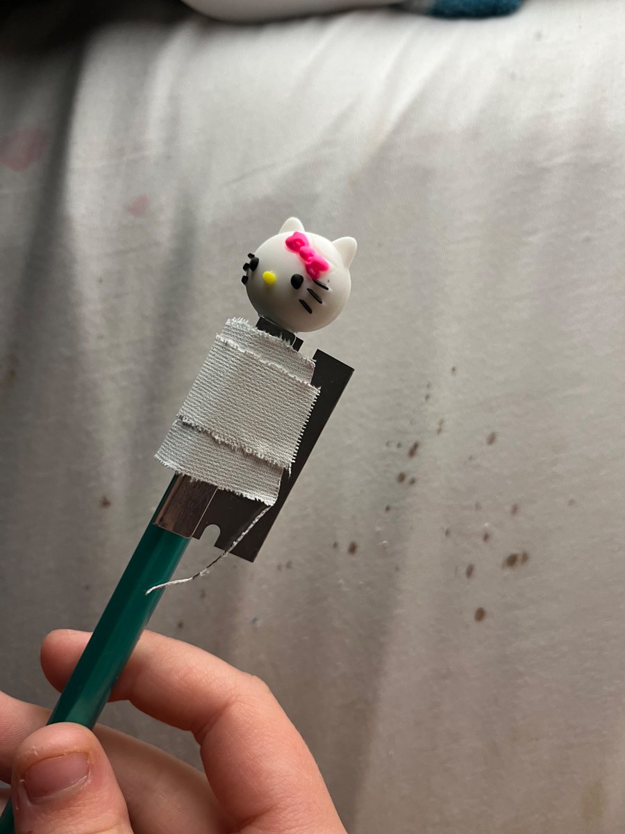 ˚✧₊Kath of Shedtwt⁎⁺˳✧༚ tweet media