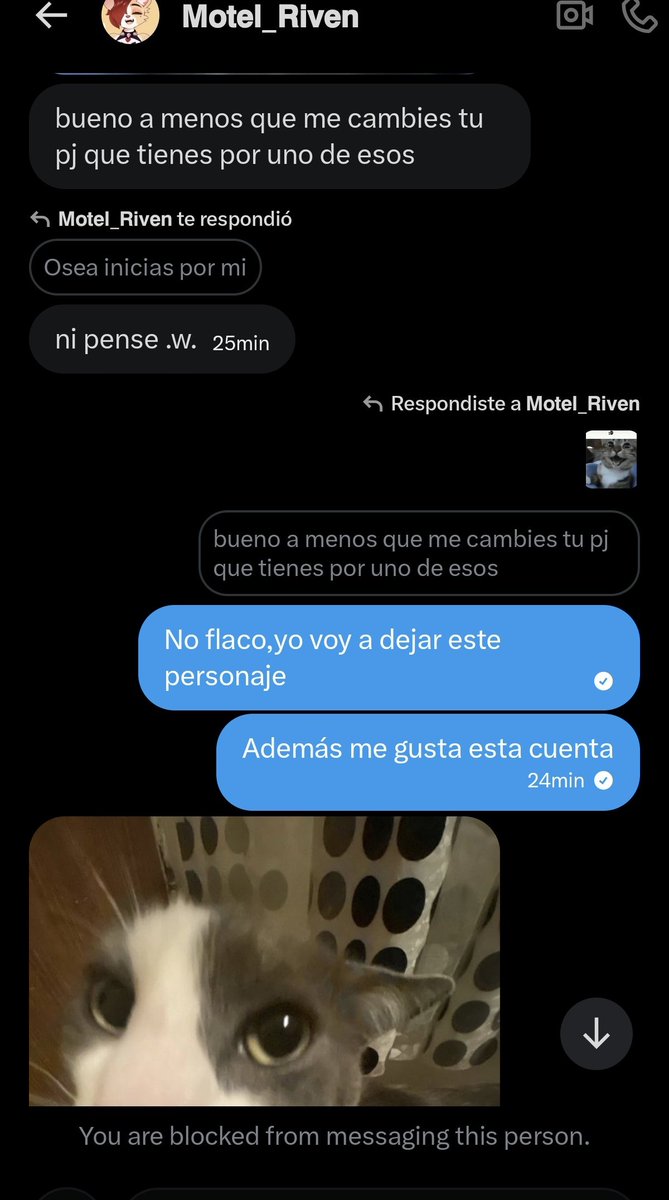 møcøsø Bastardo (y violin) tweet media