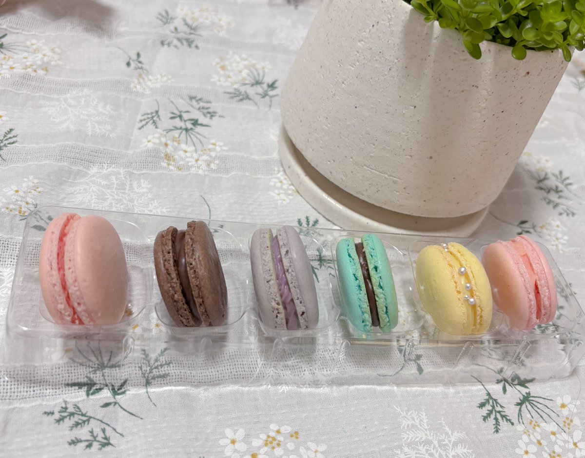 みてみてみてつけちゃんから泣泣
手作りのまかよんとせのちゃんハルくん泣 