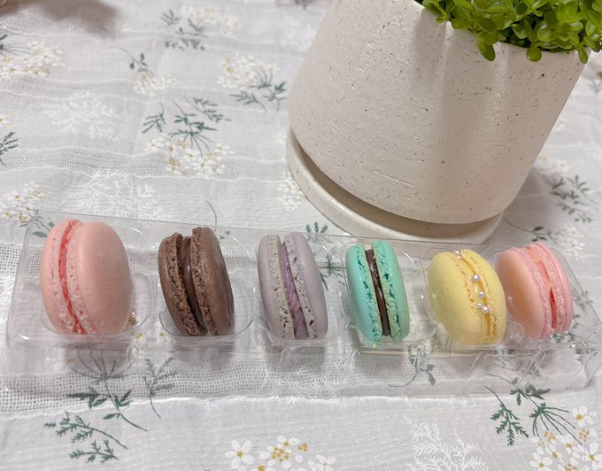 みてみてみてつけちゃんから泣泣
手作りのまかよんとせのちゃんハルくん泣 