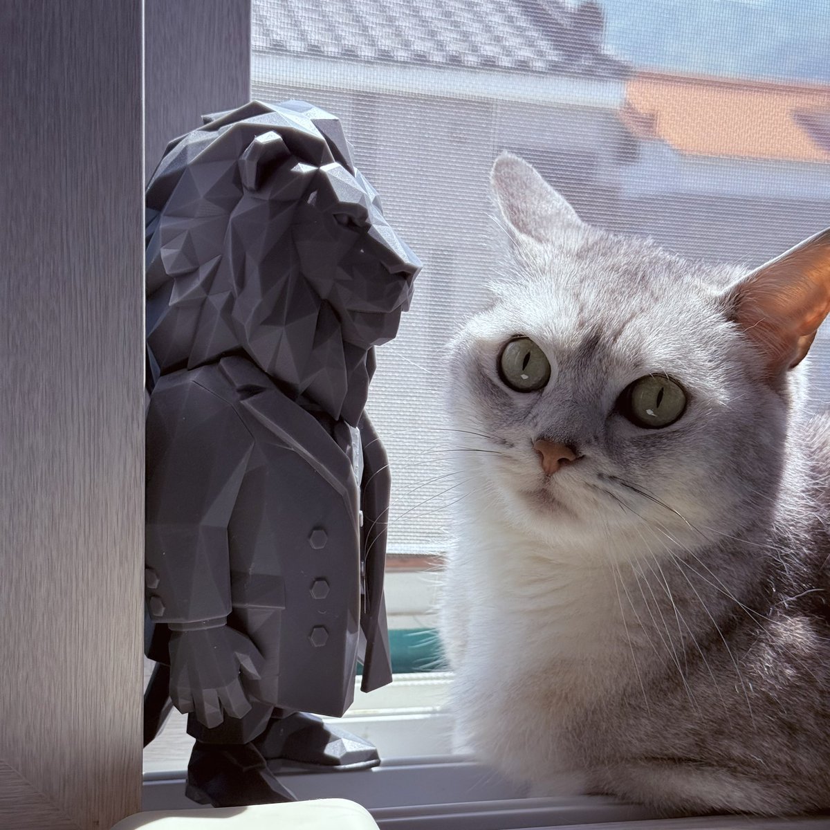 ライオンと猫
.
#Polygonia