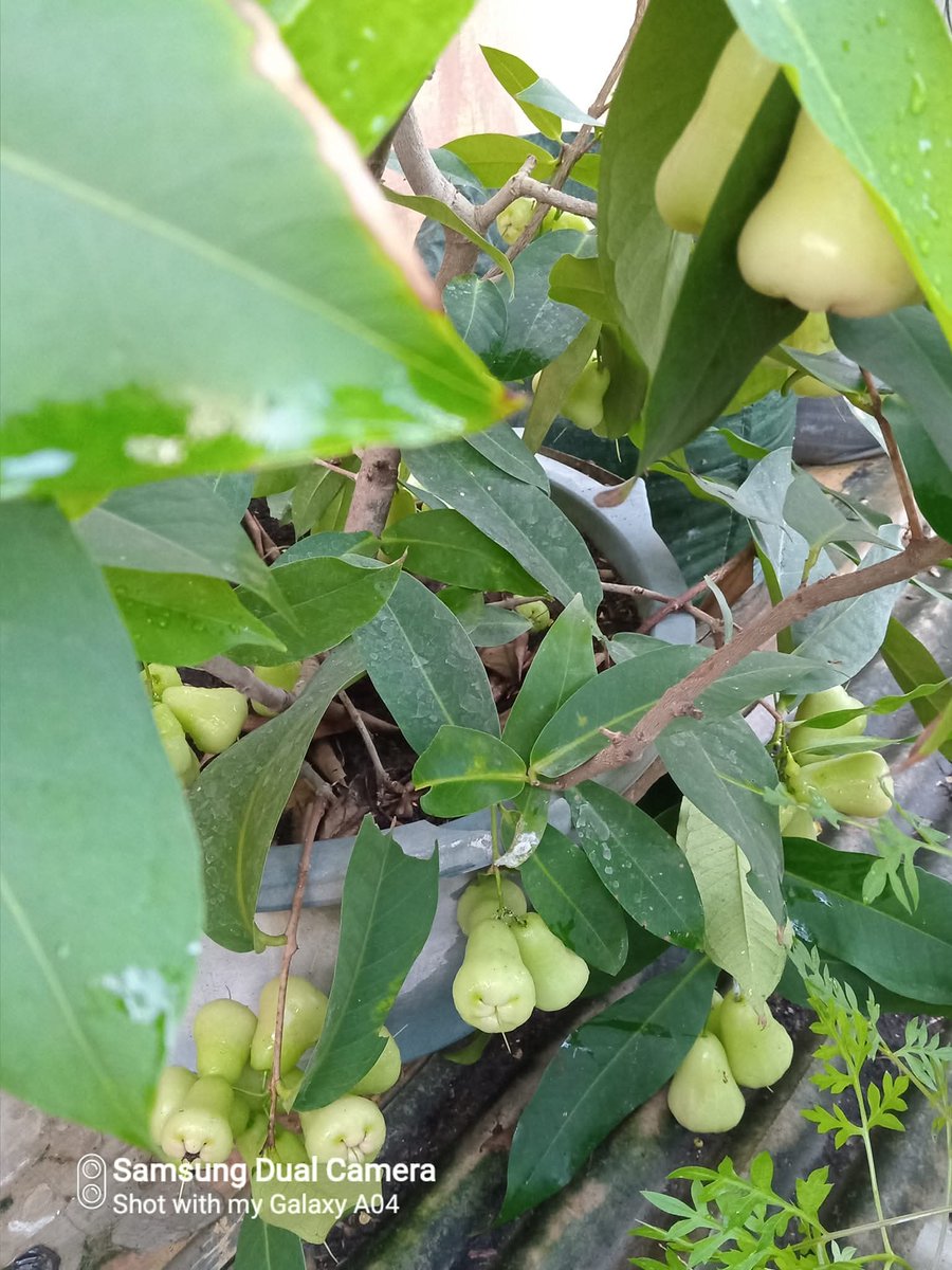 ☀️☯️ Ĕxčèĺ Ďèé🌏🌱 tweet media