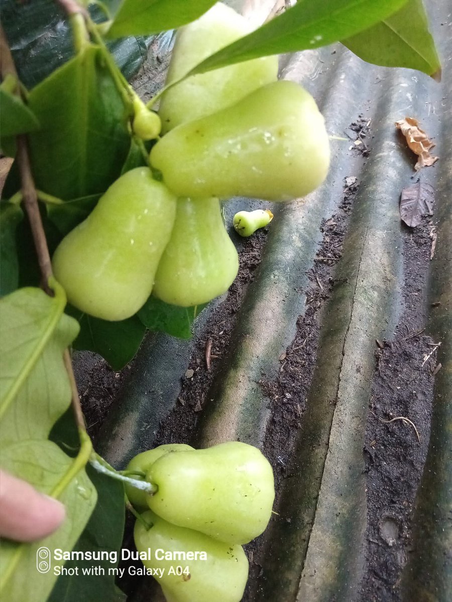 ☀️☯️ Ĕxčèĺ Ďèé🌏🌱 tweet media