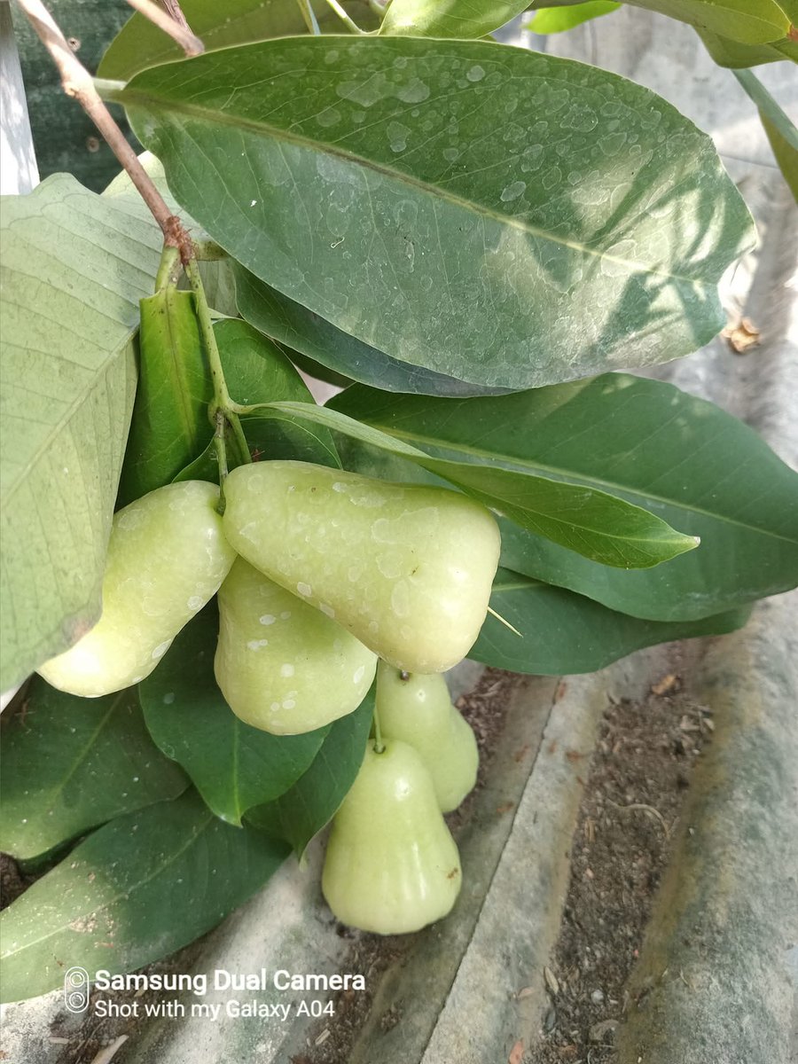 ☀️☯️ Ĕxčèĺ Ďèé🌏🌱 tweet media