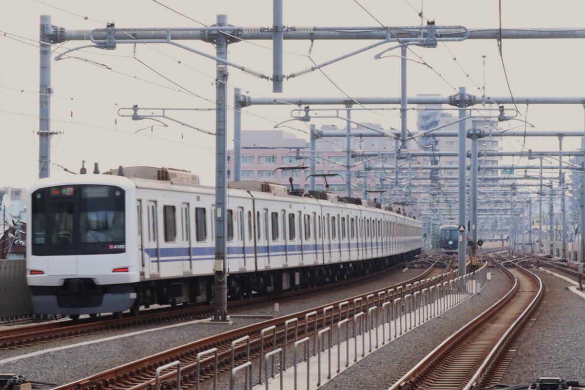 城西のうま tweet media