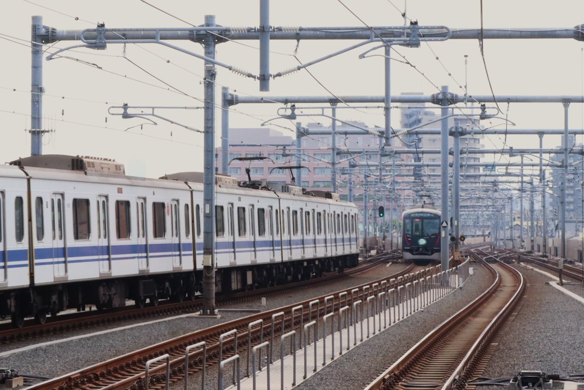 城西のうま tweet media