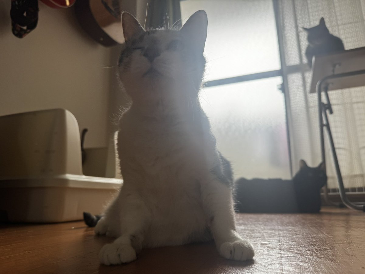 のあちゃん tweet media