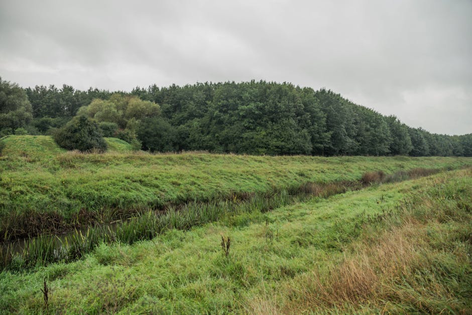 Kevin Smith tweet media