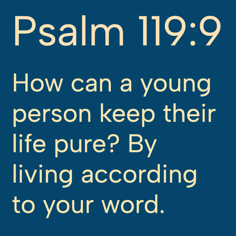 Daily Bible tweet media