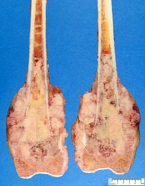 🥬Eyri tweet media