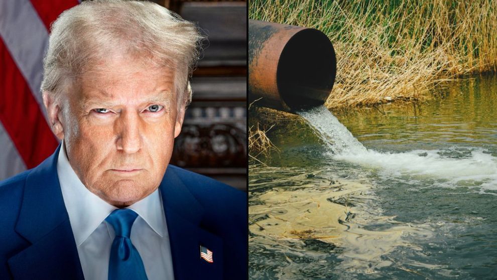 Mario Nawfal tweet media