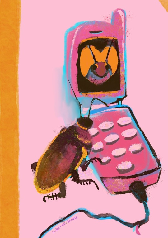 Guilherme Nunes tweet media